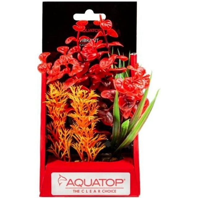 Aquatop